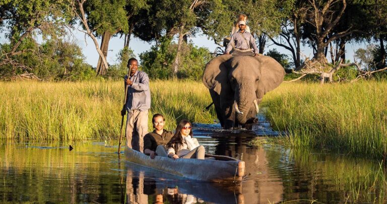 Tips-for-Planning-an-Okavango-Delta-Safari