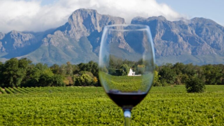 cape-winelands